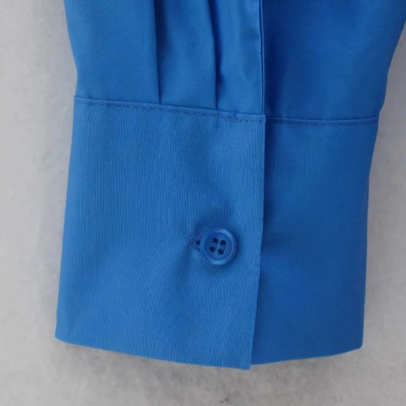 Sweet & Simple: Women's Candy Colors Long Sleeve Shirts