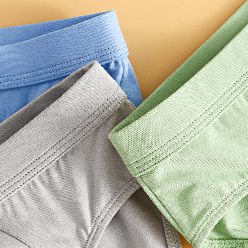 Goodbye Discomfort, Hello Pure Confidence: Cotton Briefs In Vibrant Colors