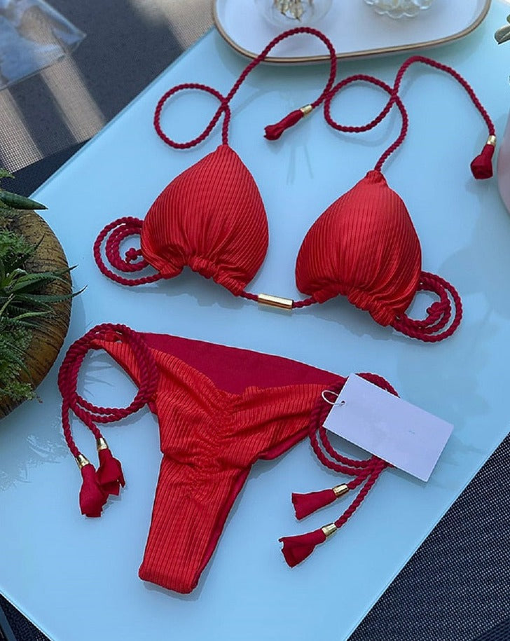 Stunning Brazilian Thong Bikini